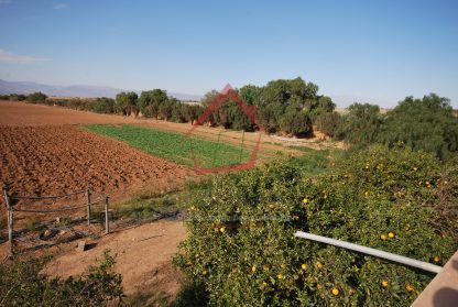 FERME non titrée de 12 hectares à 20 km d’Agadir