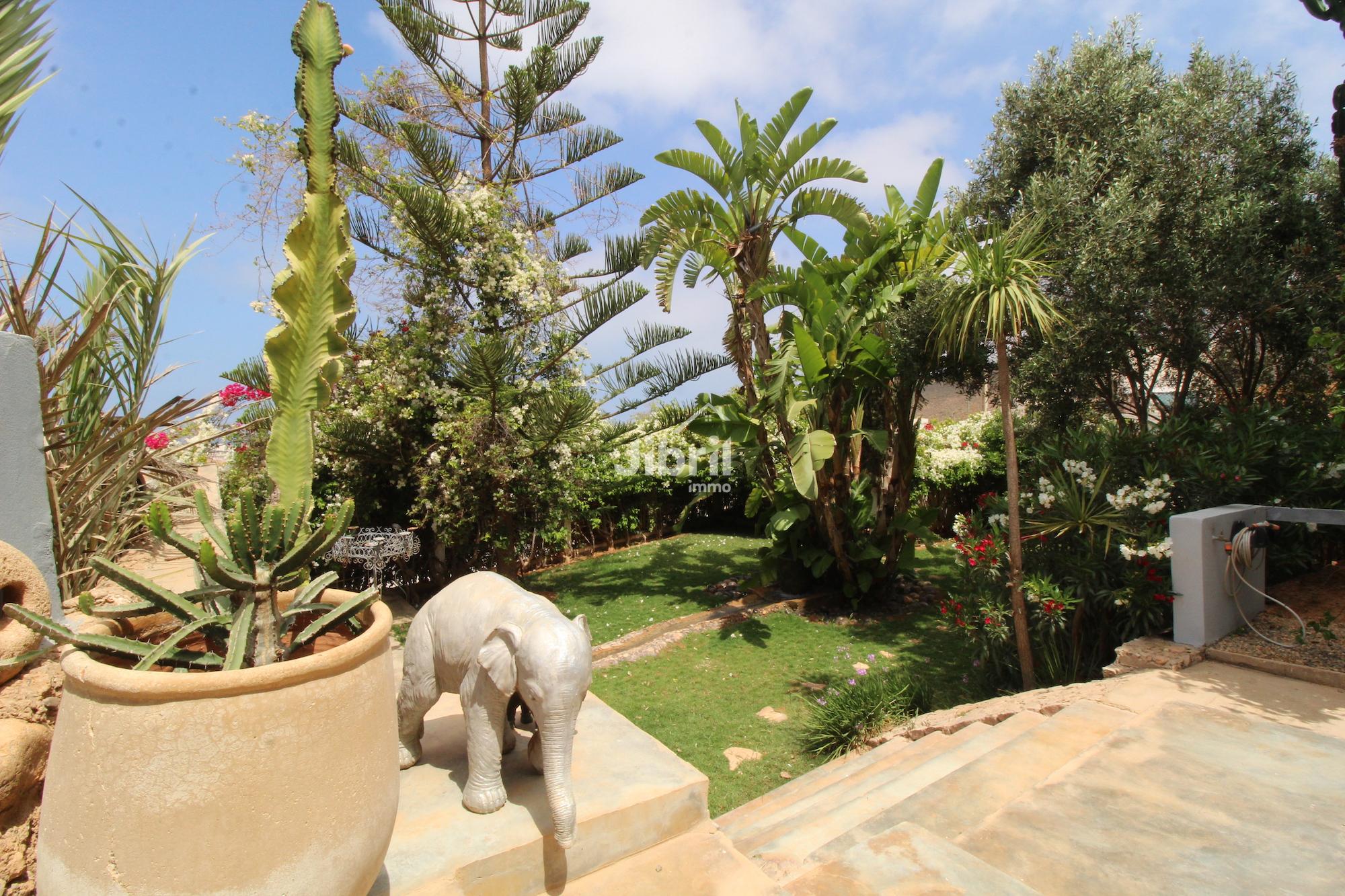 Villa de charme à Mirleft – Vue panoramique, nature, et confort absolu