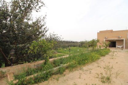 Propriété avec maison et terrain arboré