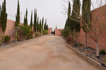 Domaine agricole de charme près de Tiznit Entre nature, authenticité et opportunité d’investissement